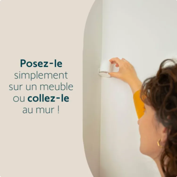 photo de l'annonce 5/5