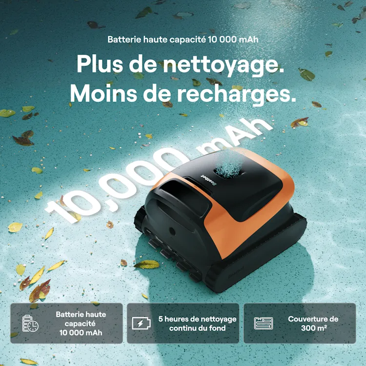 photo de l'annonce 10/12