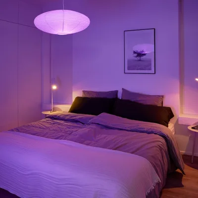 miniature de la photo l'annonce 5/6